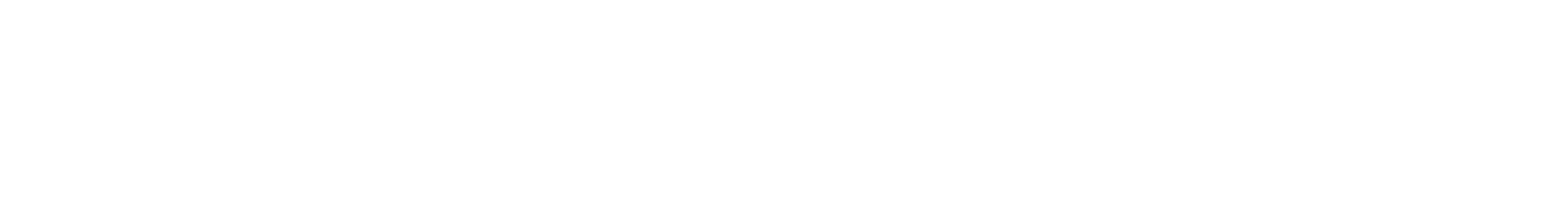 Zephi Consultancy Logo